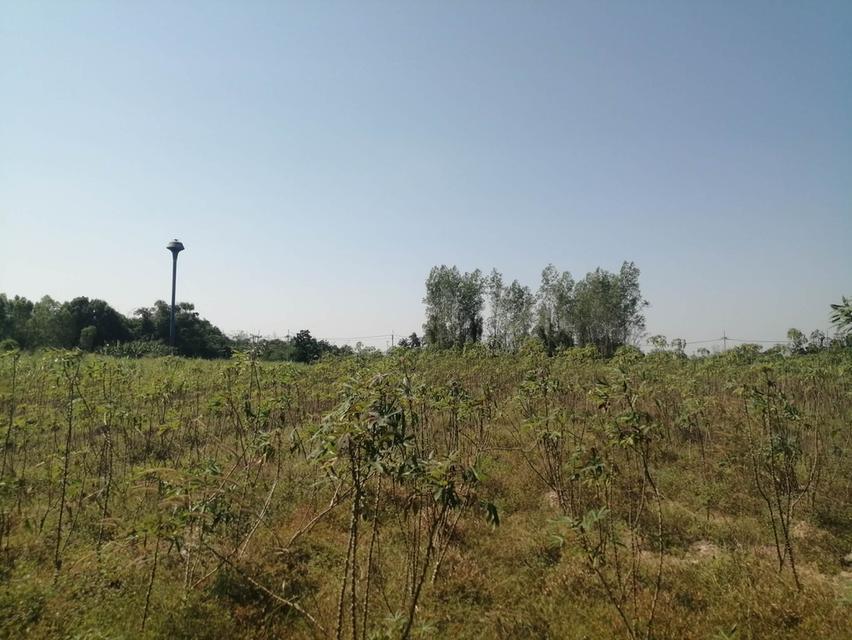 ขายที่ดิน 40 ไร่ ทำเลทอง! ใกล้โรงงาน ต.เขาขลุง อ.บ้านโป่ง เหมาะสร้างโรงงาน/ตลาด น้ำไฟพร้อม ไร่ละ 5 แสน 2