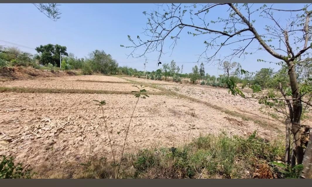 ขายที่ดินบ้านแดงใหญ่ ขอนแก่น 1