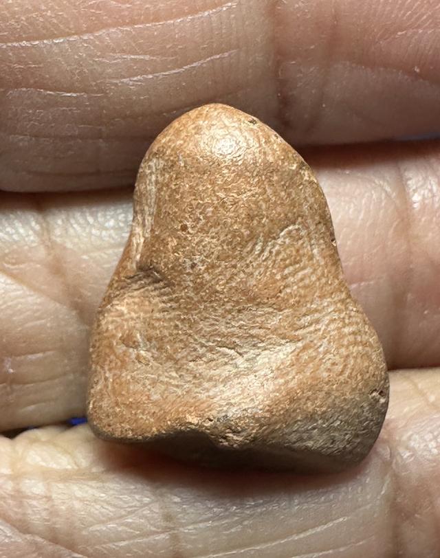 พระนางพิจิตร ข้างเม็ด รูปที่ 2