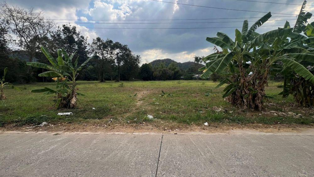 ขายที่ดินบางพระ ศรีราชา ชลบุรี 8ไร่ 80 ตร.ว. 8