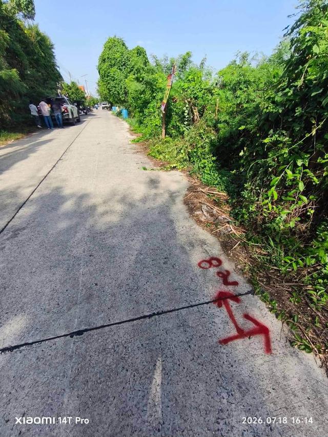 ขายด่วนที่ดินคลองหก 30 ตรว ติดถนนสาธารณะ ซ.คลองหกตะวันออก 44 คลองหลวง ปทุมธานี 2