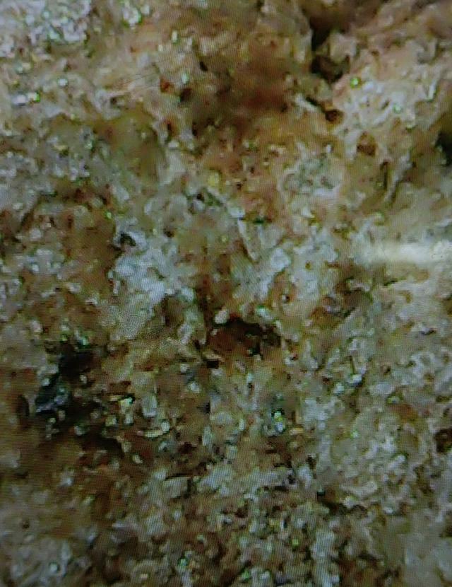 พระหลวงพ่อสด พระผงของขวัญ 7