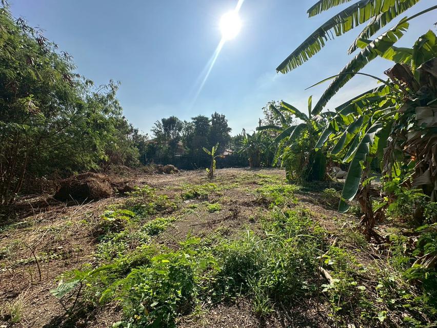 ที่ดินเปล่า 353 ตร.ว. แปลงสวย ถนนแบริ่ง - ลาชาล (ซอย แบริ่งตัดใหม่ 7) ใกล้BTS แบริ่ง 5