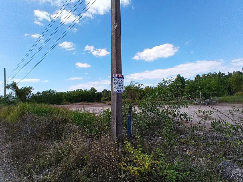 ขายที่ดิน 3 ไร่ คลอง12 ซอยสวนเกษตร2 ต.นพรัตน์ หนองเสือ ปทุมธานี 8