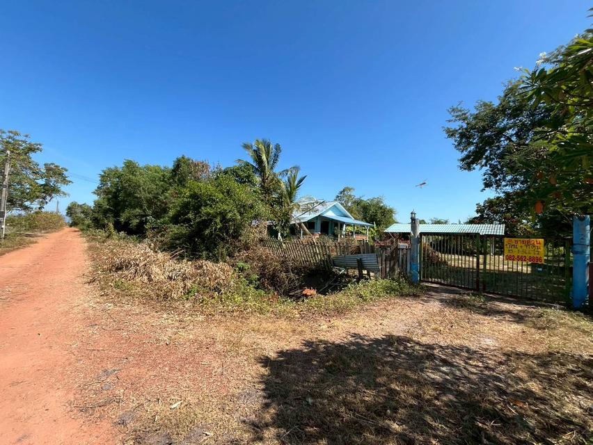 ขายบ้านพร้อมที่ดิน หมู่บ้านท่าคลายแห ใกล้วัดใหม่บำเพ็ญผล 3