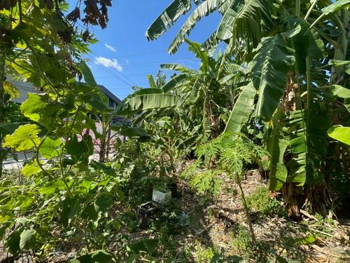 ขายที่ดินเปล่า 119 ตร.ว.ซอยคลองหลวง33 ต.คลองหนึ่ง อ.คลองหลวง จ.ปทุมธานี 8