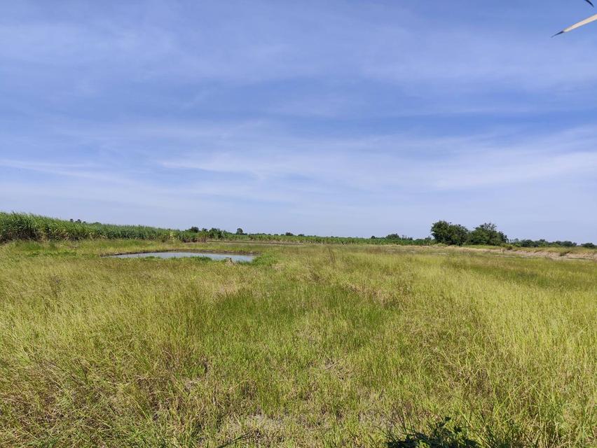 Sale large land 9.3 Rais suitable for projects or building house etc, can be subdivided Kamphaeng Saen District, Nakhon Pathom Province near Bangkok 10
