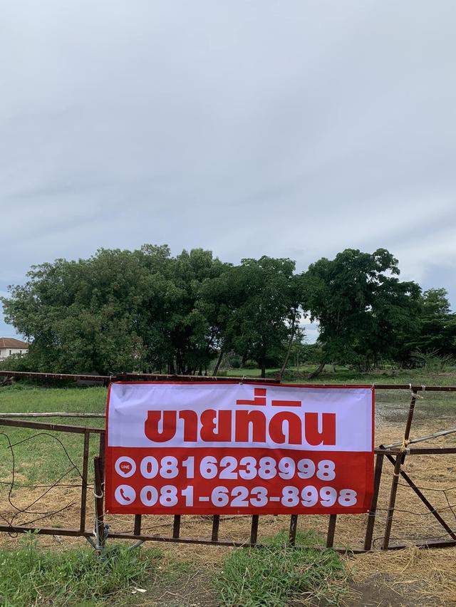 ขายที่ดินแปลงสวยเพื่อพัฒนา ถมแล้ว ห่างจาถนนร่มเกล้าประมาณ 400 เมตร ซอย ร่มเกล้า 11/1 1