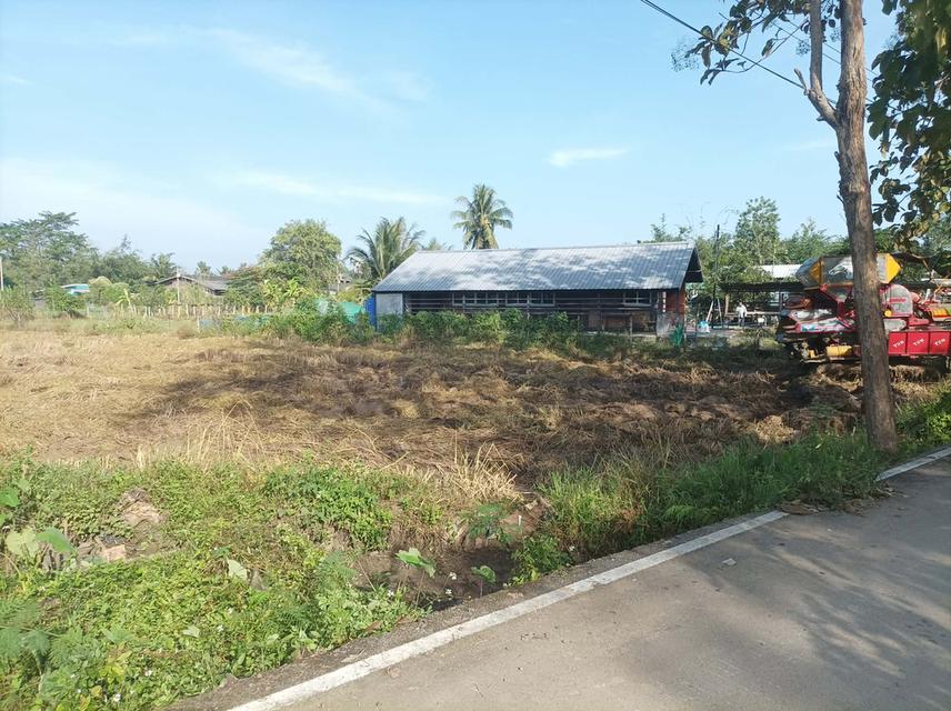 ขายที่ดิน1ไร่ ต.ป่าป้อง อ.ดอยสะเก็ด จ.เชียงใหม่ 5