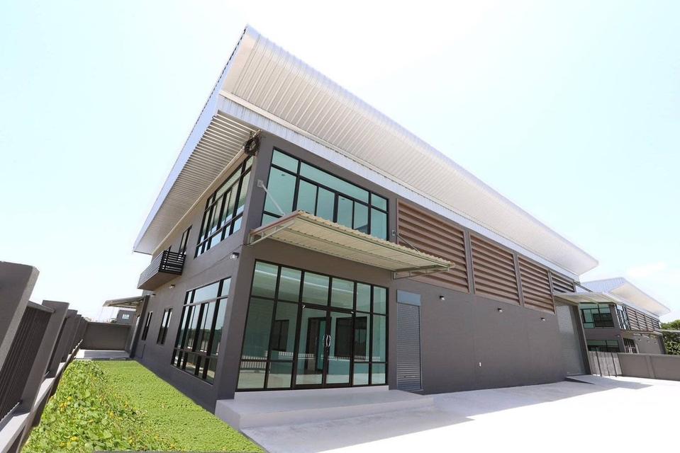 ที่ดินทำเลทอง ติดแหล่งชุมชน 4