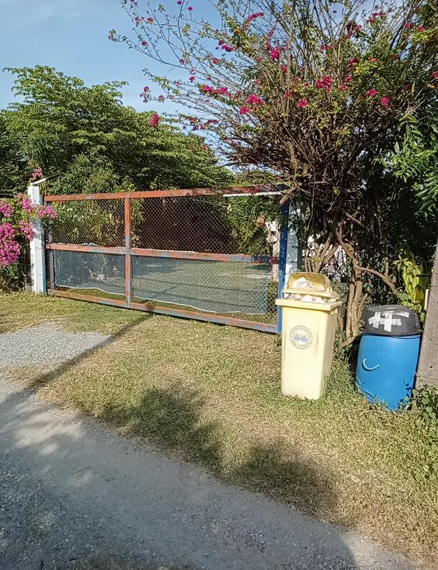 ขายสวนมะม่วงพร้อมบ้านเนื้อที่1ไร่58ตารางวาราคา2400000บาท 2