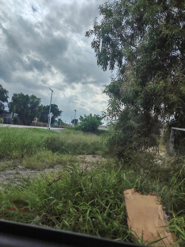ขายที่ดิน2ไร่อยู่บ้านระกาศ​จังหวัดสมุทรปราการ​ 3