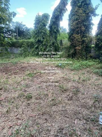 ขายด่วน ๆ โกดัง //ถูกที่สุด//บ้าน+สำนักงาน และโกดัง บนเนื้อที่ 3-0-75 ไร่ @ถนนอยู่วิทยา หนองจอก พื้นที่ = 75 ตร.วา 0 NGA 7