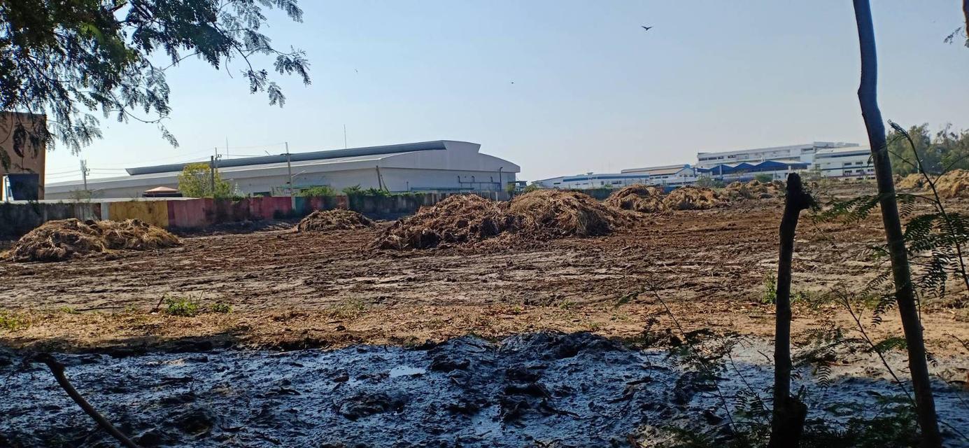 ที่ดินสำหรับโรงงาน โกดังอยู่ในนิคมอุตสาหกรรมบางปู 2