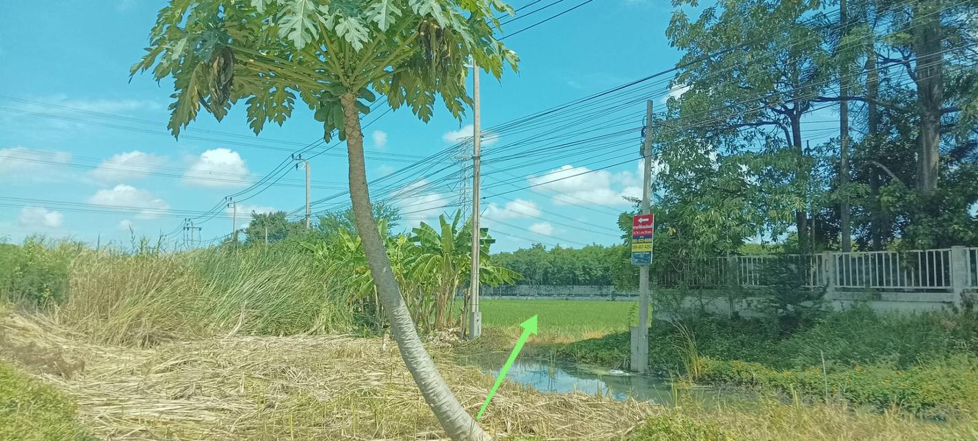 ที่ดินติดถ.บางบัวทอง-สุพรรณบุรี (340) กม 19. 2