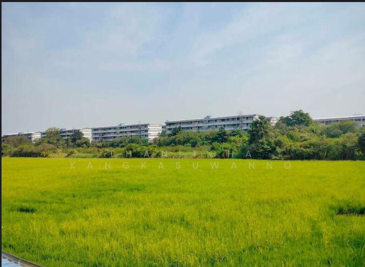 ขาย ทาวน์โฮม 3 ชั้น 24 ตารางวา โครงการมายด์ฮอฟ ร่มเกล้า-สุวรรณภูมิ 10