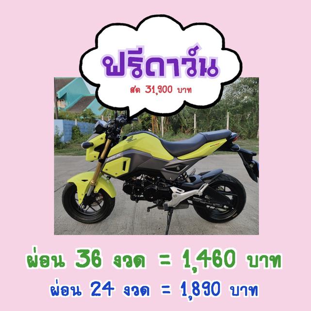 รูป   Honda Msx 125 SF สด-ผ่อน  5
