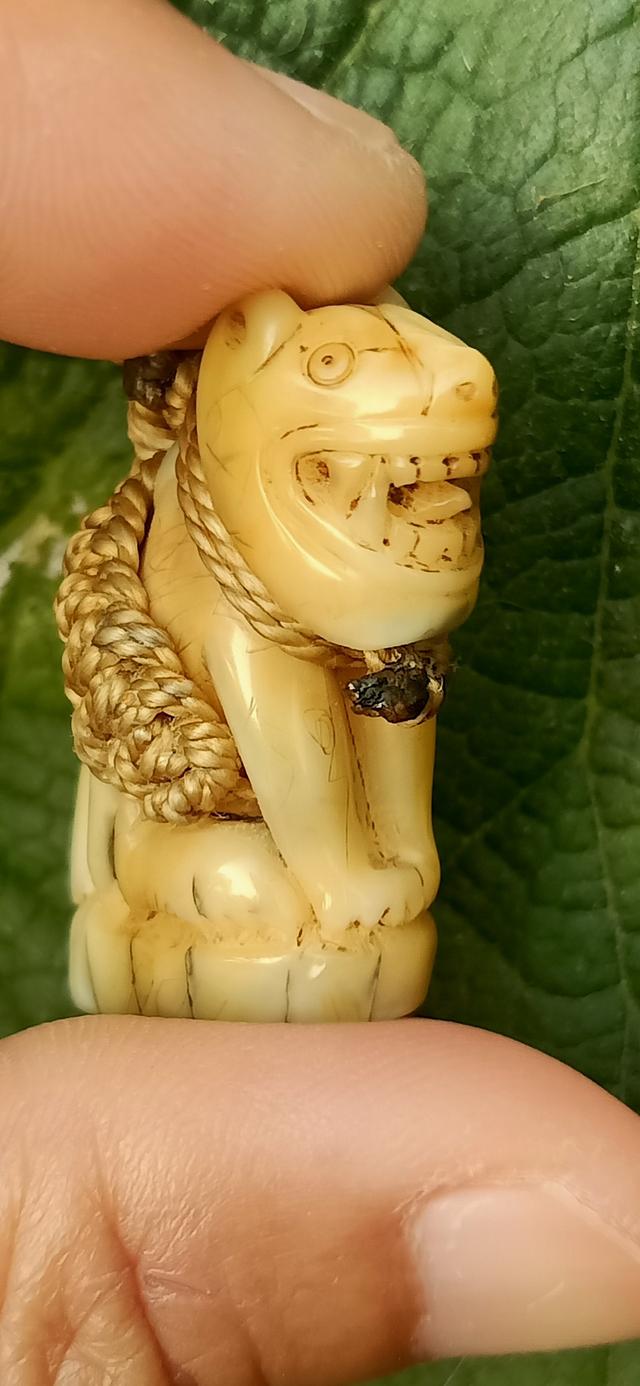 เสือเเกะ หลวงพ่อปานวัดบางเหี้ย รูปที่ 5