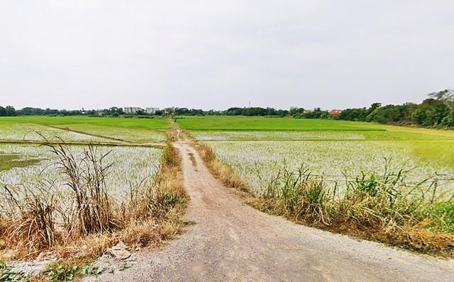 2 ขาย ที่ดิน ที่ดิน พิจิตร ใกล้กับ สถานีรถไฟพิจิตร พิจิตร เมืองพิจิตร 880000 บาท 3 ไร่ 1200 ตารางวา 3