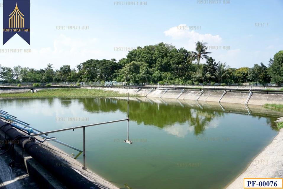 โรงงาน พร้อมบ่อบำบัดน้ำเสีย บางนา-ตราด วัดศรีวารี บางเสาธง ใกล้สนามบินสุวรรณภูมิ 11