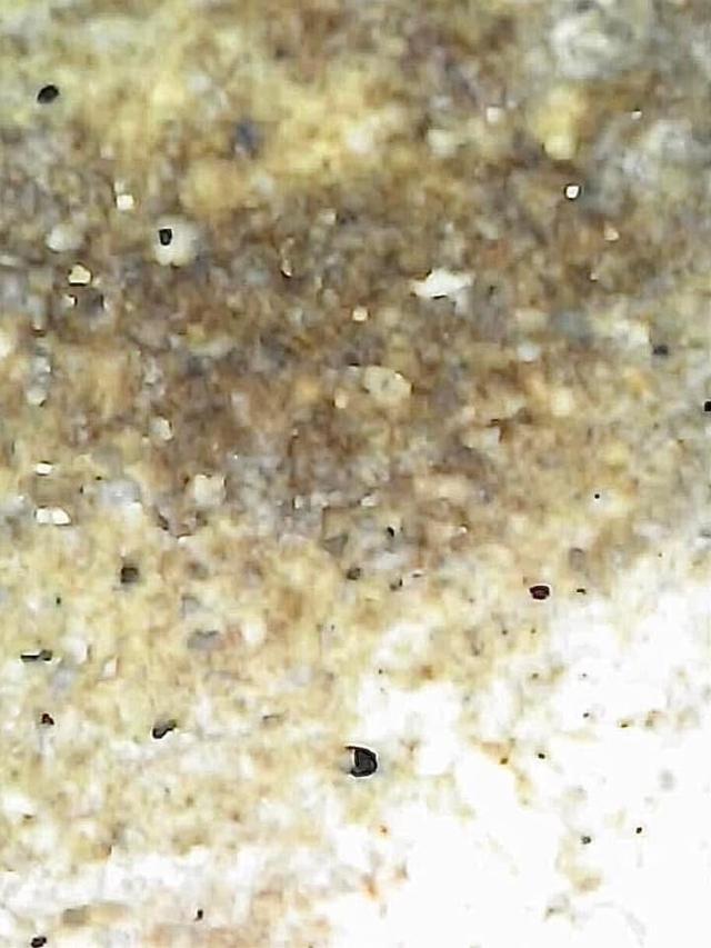 พระสมเด็จวัดระฆังพิมพ์ใหญ่เกศทะลุซุ้ม 12