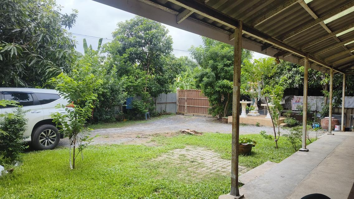 ขายบ้านกลางเมือง ร่มรื่น อากาศดี 4
