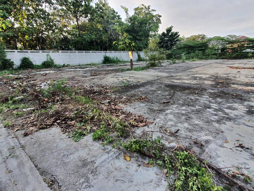 ขายที่ดิน 1 ไร่กรุงเทพกรีฑา, กรุงเทพ 7