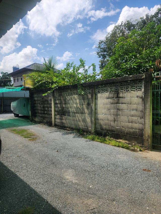 ขายที่ดินติดถนน 275 ตร.ว.  2