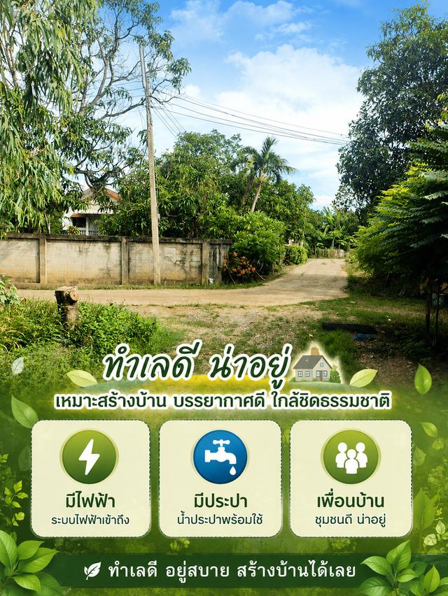 ที่ดินเหมาะสร้างบ้าน อ.หนองบัว จ.นครสวรรค์ 3