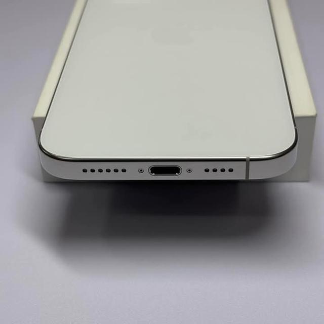 iPhone 16 Pro Max  White Titanium  8