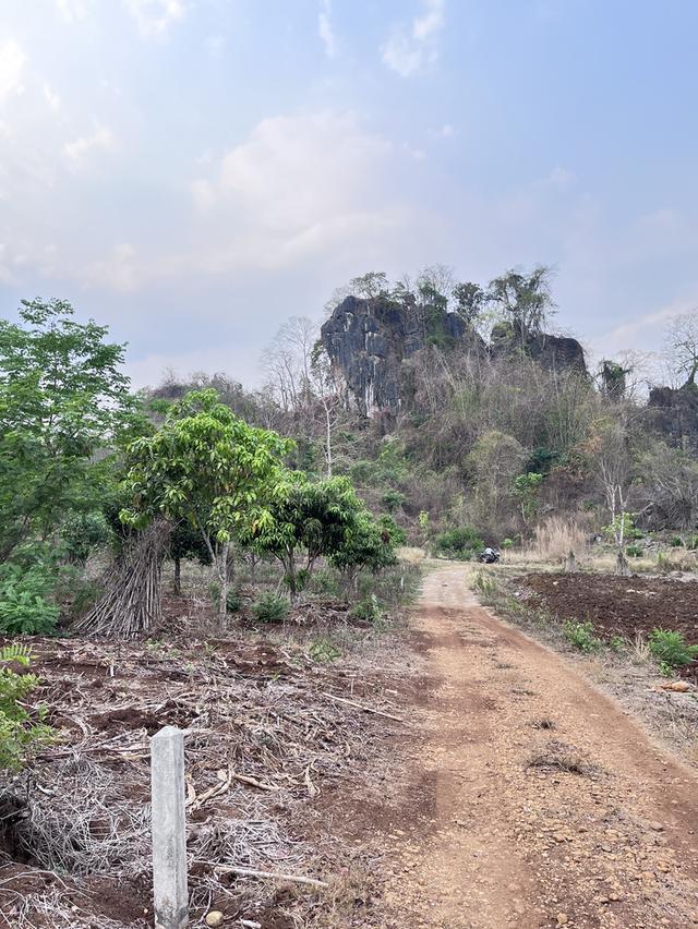ขายที่ดินวิวภูเขา500000 5