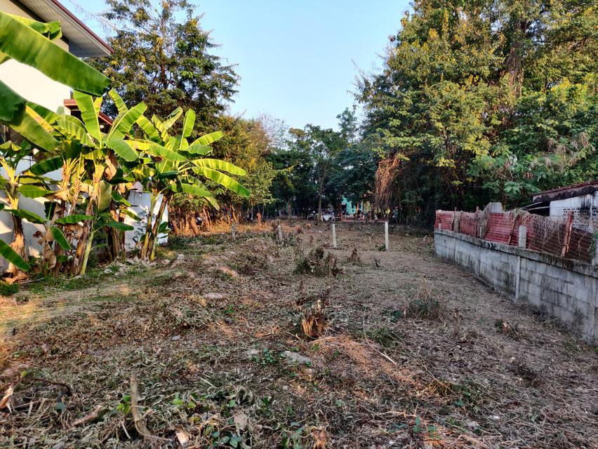 ขายที่ดินสวย ใกล้ทางหลวง ตำบลหนองบัว เมืองอุดรธานี 9