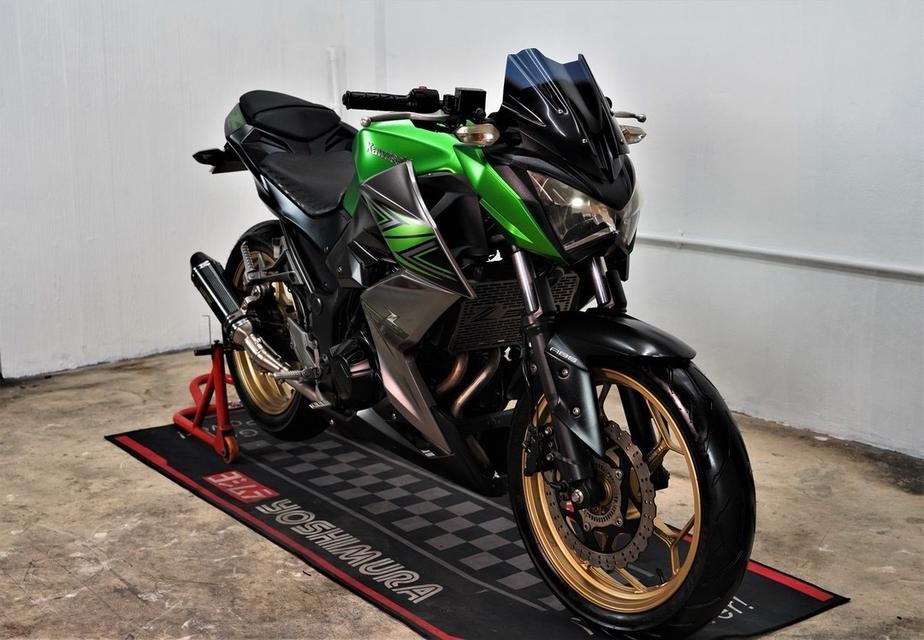 Z300 5