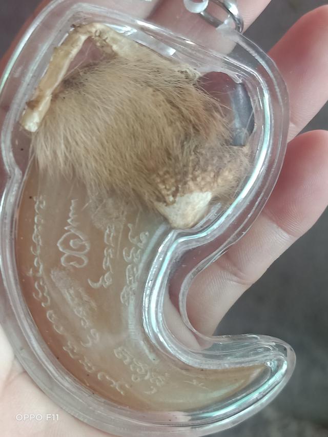 เครื่องรางของขลังวัตถุมงคล