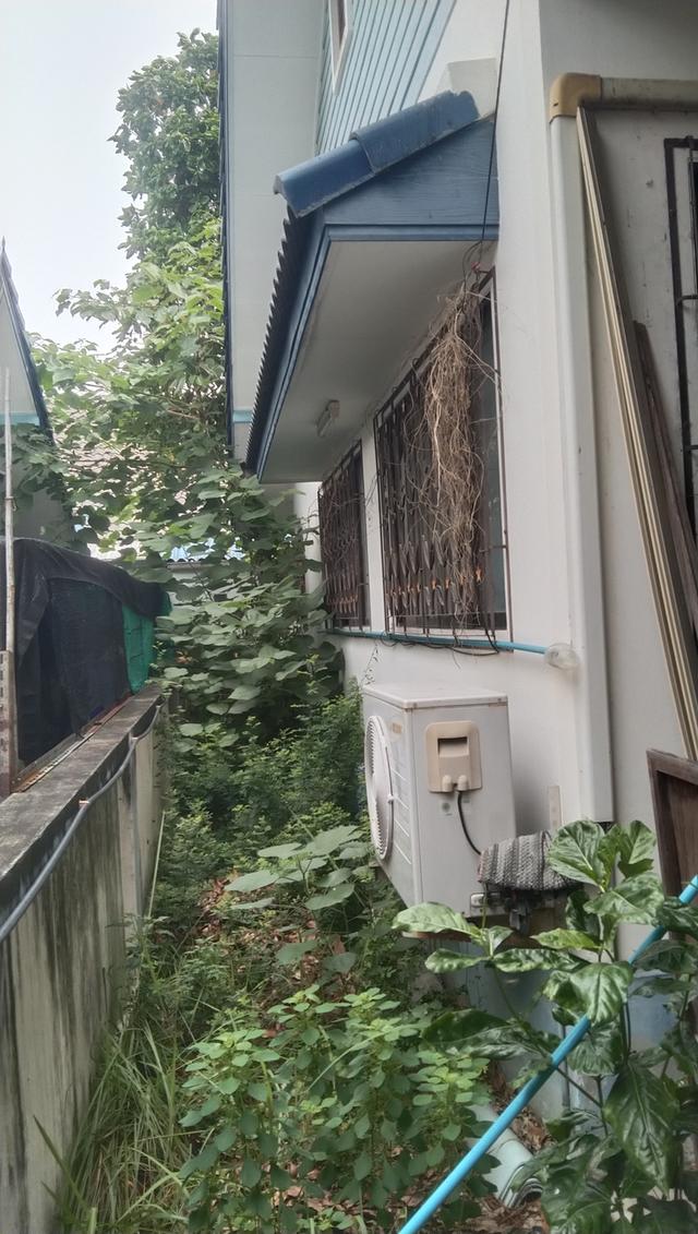 บ้านเดี่ยว 62ตร.วาหมู่บ้านไม้งาม2ภนนแสนสุขตำบลแสนสุขอำเภอเมืองจังหวีเชลบุาี 4