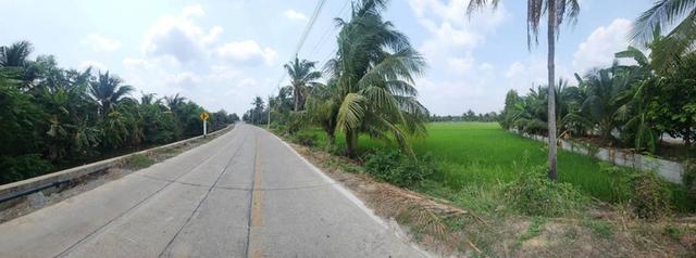 ขายที่ดินทำเลศักยภาพ พุทธมณฑลสาย 5 สามพราน นครปฐม 1-0-47 ไร่ 4