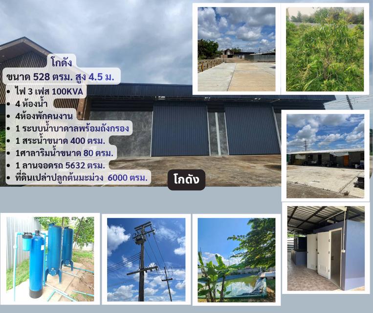 บ้านและโกดัง พร้อมระบบสาธารณูปโภค เต็มระบบ พร้อมใช้งานได้ทันที 4