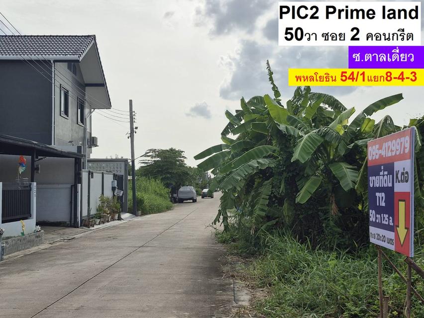 ขายที่ดิน พหลโยธิน 54/1แยก8-4-3 ซอยตาลเดี่ยว 50 วาแปลงสวย ซอย2 คอนกรีตแปลงสุด ท้าย ทิศใต้ด่วน 1.25 ล้านบาทสุดท้าย หรือคุณจะเข้าสายไหมซอย 6 ก10ม ย20ม. 2