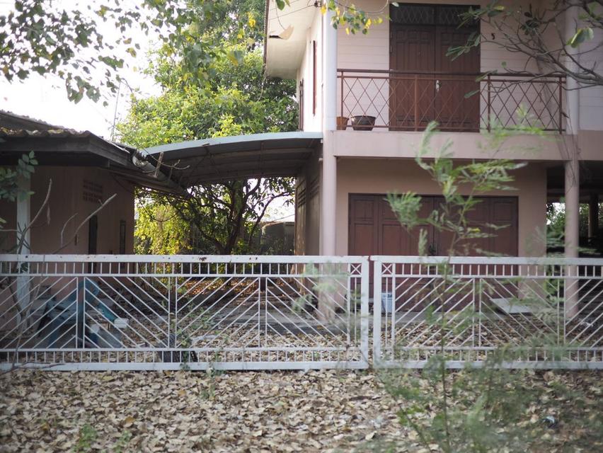 บ้านสวนพร้อมที่ดิน 6 ไร่เศษ มีรั้วลวดหนามโดยรอบที่ดิน  เพิ่มรั้วคอนกรีตเฉพาะรอบบ้านอีกชั้น ด้านหน้าที่เป็นคลองชลประทาน ที่ดินว่างเป็นนาข้าว มีไม้ยืนต้ 2