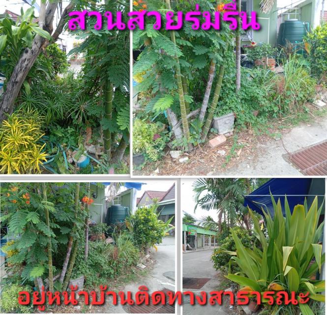 ขายบ้านแฝด ทำเลดี ใกล้เมือง เปิดเป็นร้านค้าได้ 🔥 7
