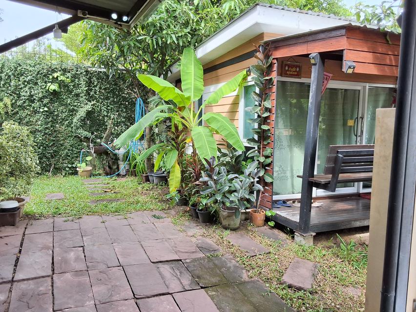 บ้านเดี่ยว 2ชั้น 3ห้องนอน 2ห้องน้ำ 1ห้องรับแขก 1ห้องครัว โรงจอดรถได้2คัน 6