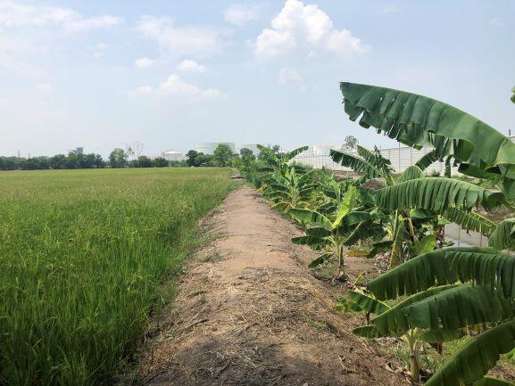 บางกระสั้น บางปะอิน  พระนครศรีอยุธยา 3