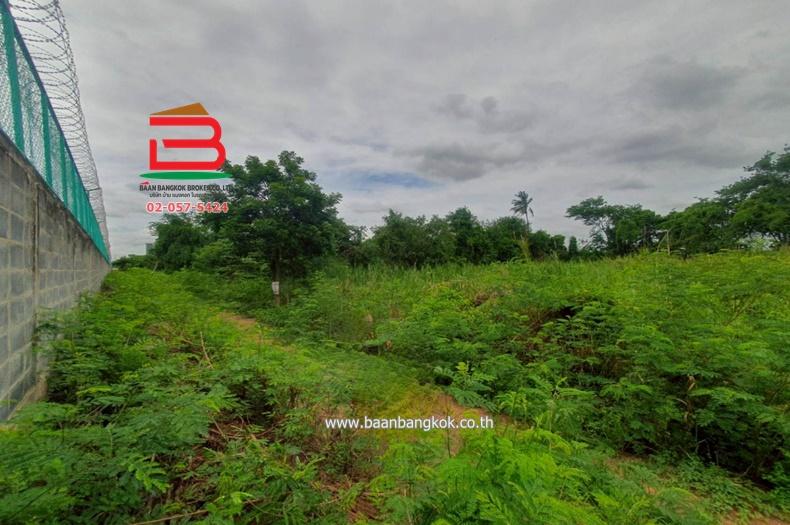 ที่ดินเปล่า คูบางหลวง-ลาดหลุมแก้ว เนื้อที่ 3-1-56 ไร่ ติดบจก.ชาญนครวิศวกรรม ตำบลคูบางหลวง อำเภอลาดหลุมแก้ว จังหวัดปทุมธานี