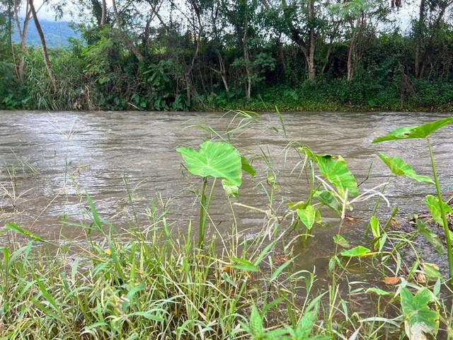 ที่ดินริมแม่น้ำ....วิวดอยภูคา...ใกล้แหล่งท่องเที่ยว...อ.ปัว 2