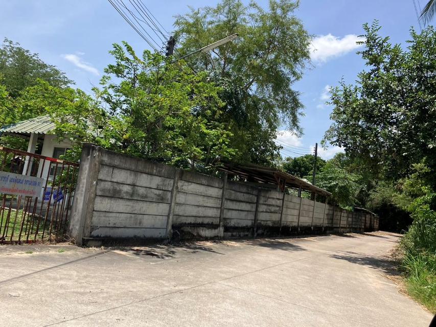 ขายที่ดินศรีราชา ชลบุรี ทำเลดี ใกล้ท่าเรือแหลมฉบัง เหมาะสร้างบ้านจัดสรร , โกดัง , มินิแฟคตอรี่ เนื้อที่ 20.5 ไร่ 14