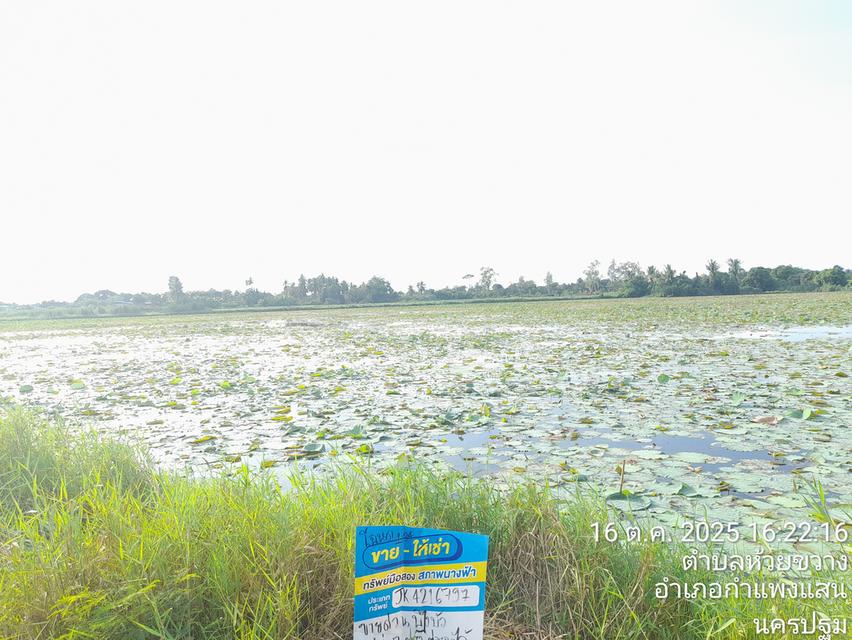 บ้านสวยหน้าอยู่ ทำเลดี 4