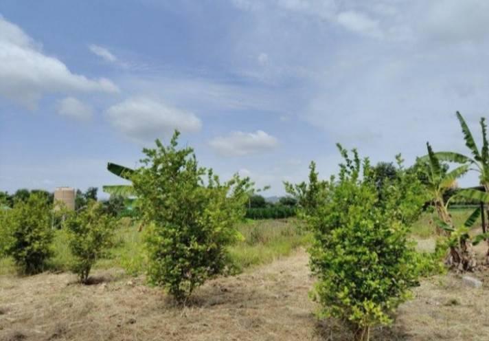 ขายบ้านพร้อมที่ดิน อำเภอเลาขวัญ กาญจนบุรี บรรยากาศดี ติดถนนสาธารณะ 2 ด้าน  น้ำไฟพร้อม 9