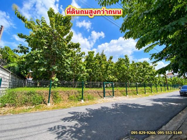 ขายที่ดินถมสูงกว่าถนนน้ำไม่ท่วมที่ดิน 1-3- 57 ไร่ สรงประภา 11 เข้าซอยเพียง 240 ม. ทำเลดี ใกล้สนามบิน ดอนเมือง กรุงเทพ 2