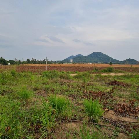 ขายที่ดินผังม่วงบ้านบึงชลบุรี ที่ดินอุตสาหกรรม 31-1-46 ไร่ ติดนิคม WHA | ทางสาธารณะ 3 ด้าน พื้นที่สีม่วงลาย 6