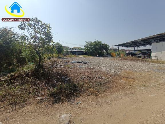 ให้เช่าที่ดิน 140 ตารางวา ซอยลาดกระบัง14/1 ซอยราชา 11 ลาดกระบัง 3